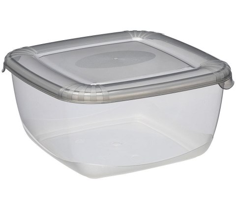 Pojemnik 6szt. polar 2,5l kwadrat | 1677