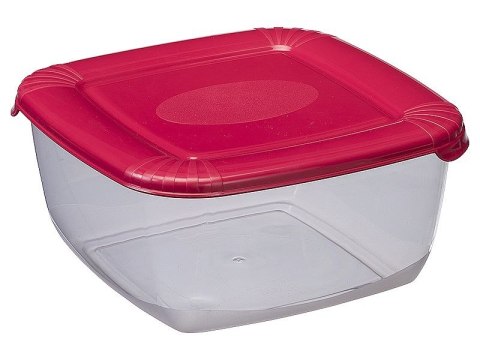 Pojemnik 6szt. polar 2,5l kwadrat | 1677