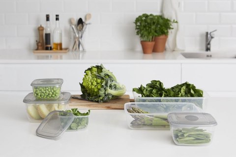 Pojemnik 6szt. polar 2,5l kwadrat | 1677