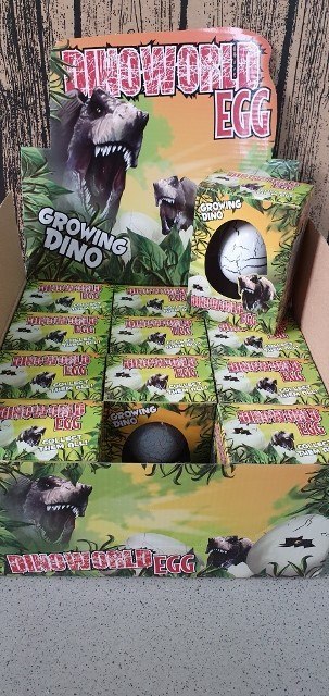 Dinozaur w jajku H5000
