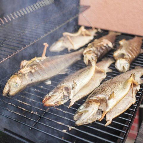 Zrębki do wędzenia / grillowania, buk, 450 g, kl. 8 | 780830