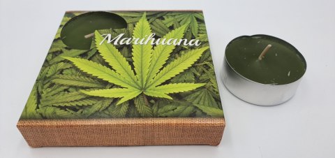 Podgrzewacz zapachowy 4szt maxi MARIHUANA