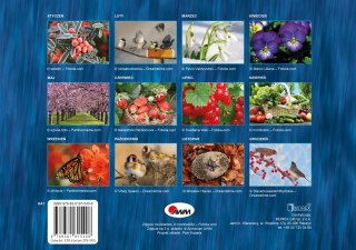 Kalendarz 2026 biodynamiczny KA1 ścienny