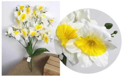 Bukiet ŻONKIL wys. 62 cm 11 łodyg (33 kwiaty ok. 11 cm) BIAŁY z ŻÓŁTYM ŚRODKIEM KMA-2402A