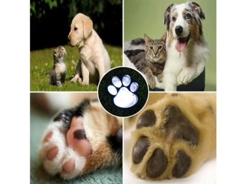 Lampa 3szt solarna łapka led A6046