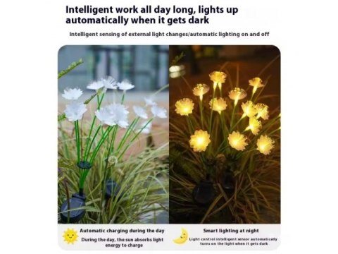 Lampa solarna 2szt. ogrodowa kwiatki led 76cm SOL47211