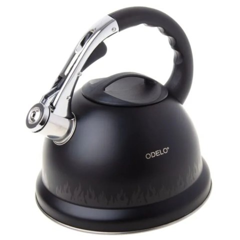 Czajnik stalowy 3,2l FLANN MAGIC zmieniający kolor grube dno OD2629