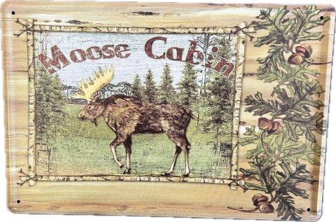 Obraz blaszany 20x30cm 25-628B