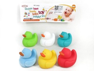 Piszczki kaczki BPI4425